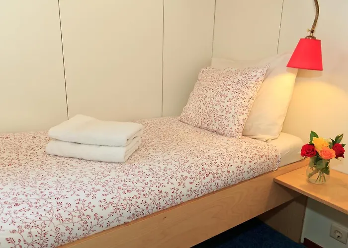 Hotelboat Fleur Hotell 2*